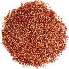 Cekar Store Goldy Mix Granules 250 ml Güçlü Sağlıklı Renkler Japon Balık Yemi