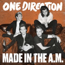 Sony One Direction - Made In The A.m. - Plak