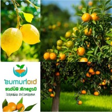 Aesco Narenciye Için, Organik Gübre, Organik Sertifikalı, Kök Geliştirici, Toprak Düzenleyici, Bitki Besleyici 25 kg (1)