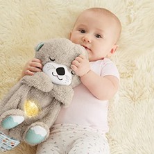Aesco Fisher-Price Uyku ve Oyun Arkadaşı Su Samuru Fisher-Price Uyku ve Oyun Arkadaşı Su Samuru, Müzikli Pelüş Bebek Oyuncağı FXC66 FXC66