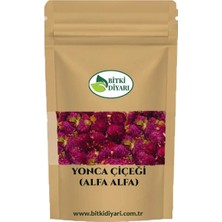 Bitki Diyarı Kızıl Yonca Çiçeği (Alfa Alfa) 25 gr