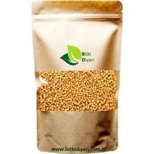 Bitki Diyarı Sarı Hardal Tohumu Sarı 40 gr