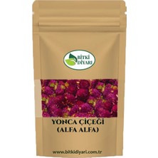 Bitki Diyarı Kızıl Yonca Çiçeği (Alfa Alfa) 500GR