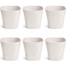 Omnipazar SO-ZB04 Zambak Dekoratif Plastik Saksı 5.6 Lt No:4 Kirli Beyaz 6 Adet
