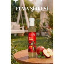 Karadut Dünyası Elma Sirkesi 500 ml