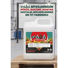 GBK Asa 5 Kg