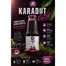 Eylülzade Taneli Karadut Özü 1350 gr