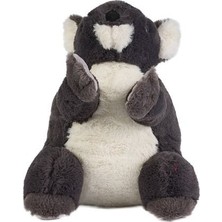 E-Vitrin 0785 Gri Renk Koala