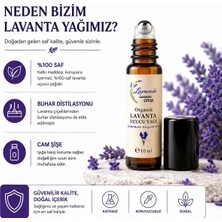 Lavande Lavanta Çiftliği Lavanta Yağı (L. Angustifolia) 10ml-Roll on