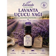 Lavande Lavanta Çiftliği Lavanta Yağı (L. İntermedia) 10ml-İçten Damlalıklı