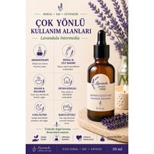 Lavande Lavanta Çiftliği Lavanta Yağı (L. İntermedia) 50ml-Cam Damlalıklı
