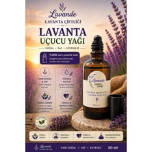 Lavande Lavanta Yağı (L.İntermedia) 50 ml Roll'on