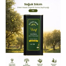 İstif Yeni Sezon Erken Hasat Soğuk Sıkım Natürel Sızma Zeytinyağı 1 Lt Teneke