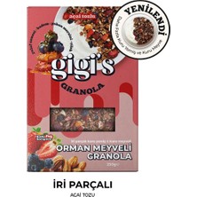 Gigi's Orman Meyveli Granola
