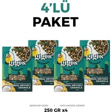 Gigis Food Tropikal Meyveli Granola - Spirulina, Chia 4'lü Paket 4X250 Gram