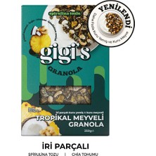 Gigi's Tropikal Meyveli  Granola