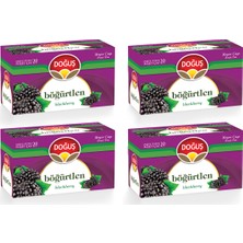 Doğuş Böğürtlen Çayı 20'li x 4 Paket Filtre Tipi Bitki Çayı Sağlıklı ve Ferahlatıcı İçecek