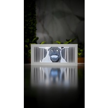 Jade Produck Solo Leveling Statue - LED Gece Lambası