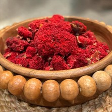 Nar Çiçeği Kurusu