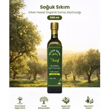 İstif Yeni Sezon Erken Hasat Soğuk Sıkım Natürel Sızma Zeytinyağı 500 Lt Uzun Cam Şişe
