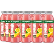 Kuzeyden Çilekli Limonata | 12X250ML | Ilave Şeker, Katkı ve Koruyucu Madde Içermez | 12 Adet | %100 Meyve