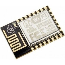 China ESP8266 Seri Kablosuz Alıcı Verici Modulü ESP-12E