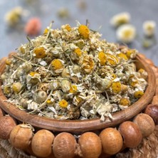 Papatya