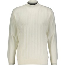 Finesuits Erkek Düz Yünlü Desenli Yünlü Kazak 2522201011.YBR