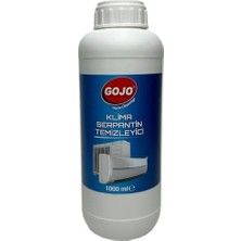 Skygo Klima Serpantin Temizleyici 1000 ml (2 Paketi)