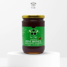 Toros Dağı Çam Balı 860 gr