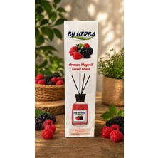 By Herba Orman Meyvesi Kokulu Çubuklu Oda Kokusu