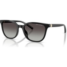 Ax 4168SU 81588G 54 Armani Exchange Güneş Gözlüğü