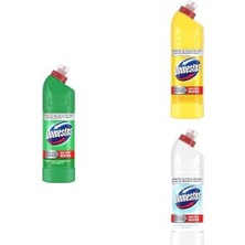 Skygo Domestos Yoğun Kıvamlı Çamaşır Suyu Maksimum Hijyen Dağ Esintisi+ Kar Beyazlığı Çamaşır Suyu +Limon Ferahlığı Mikrop Öldürücü Suyu, 750 ml x 3