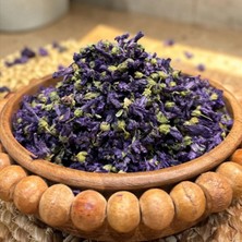 Ebegümeci