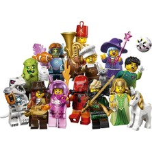 LEGO Minifigures 71052 Series 29 : Tam Set