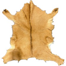 LN Leather Naturel Doğal Desenli Boyasız Dekoratif Oğlak Postu - Doğal Oğlak Postu
