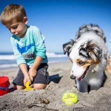 Skygo Hyper Pet Tenis Köpek Oyun Topu Yeşil 4'lü Paket (Orta Boy)