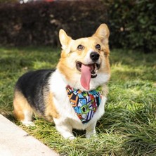 Skygo Urban Style Freestyle Bandana Collar (M)