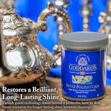 Skygo Goddard's Polish Northern Labs 6 Oz Foam Silver Polish 707085
