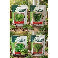 Çoker Tohum Seti (Maydanoz, Dereotu, Roka, Tere)