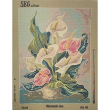 Seg de Paris Seg Baskılı Goblen 929 188 Harmonic Rose 45X60CM Tablo Pano