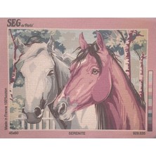 Seg de Paris Seg Baskılı Goblen 929 526 Serenite 45X60CM Tablo Pano