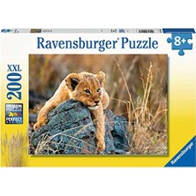 Cekar Store 200P Puzzle Aslancık