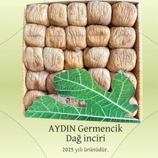 FigEra Dal Kurusu Kuru Incir 1000GR Pulled Dağ Inciri