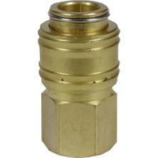 Cekar Store Orijinal Einhell Nipel R1/4" (Dişi) (Kompresör Aksesuarı, Sağlam Pirinçten Yapılmış, Basınçlı Hava Hortumları Için) - 4139206