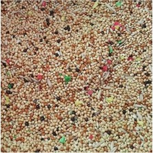 Cekar Store Birdmozz Muhabbet Kuşu Yemi 1 kg