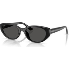 Ray-Ban RB4457D 6677/87 Güneş Gözlüğü