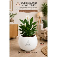 Can Botanik Şık Yuvarlak Dekoratif 20 cm  Boş Saksı Modern Saksı Beyaz