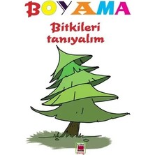 Elips Kitap Boyama Bitkileri Tanıyalım