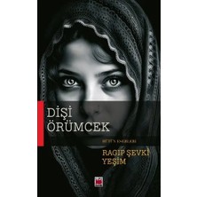 Elips Kitap Dişi Örümcek